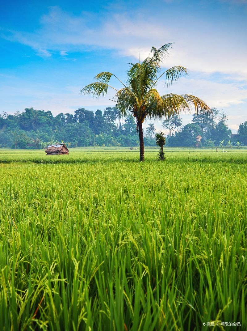 Ubud