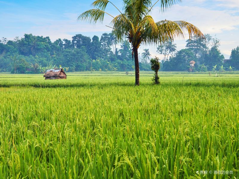 Ubud