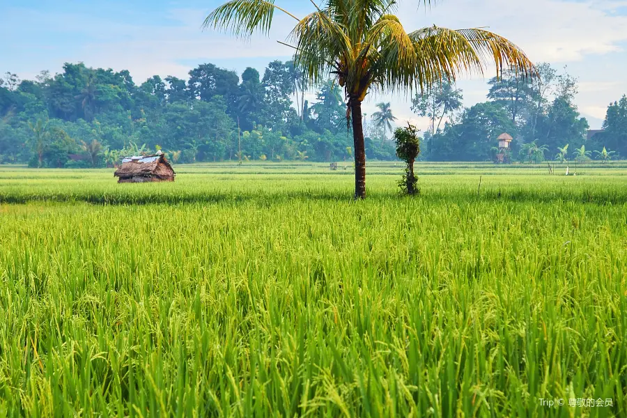 Ubud