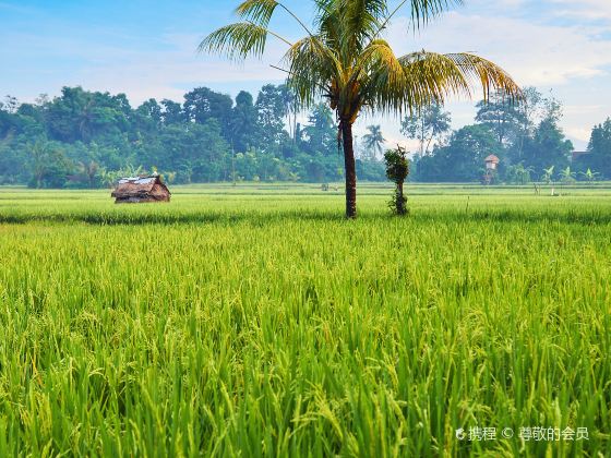 Ubud