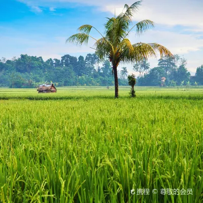 Отзывы об отеле Sylvia Beach Villa