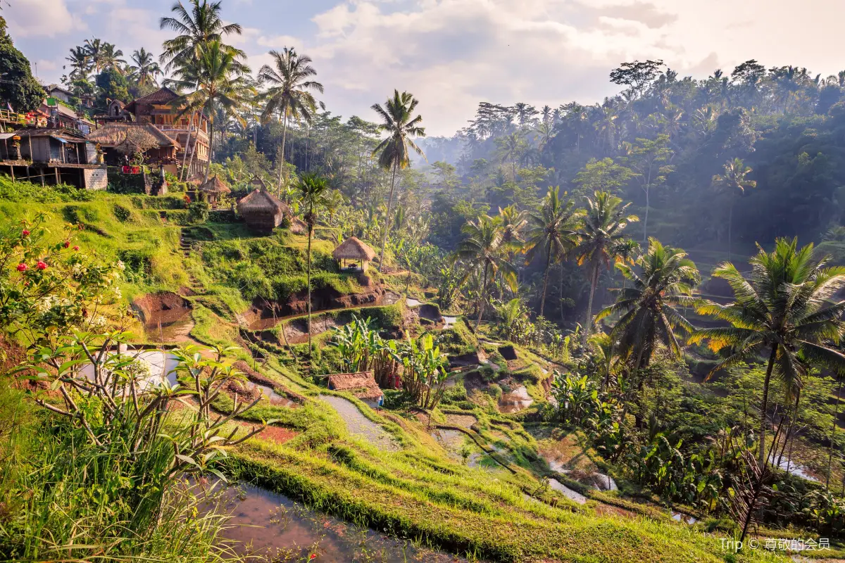 Ubud Music