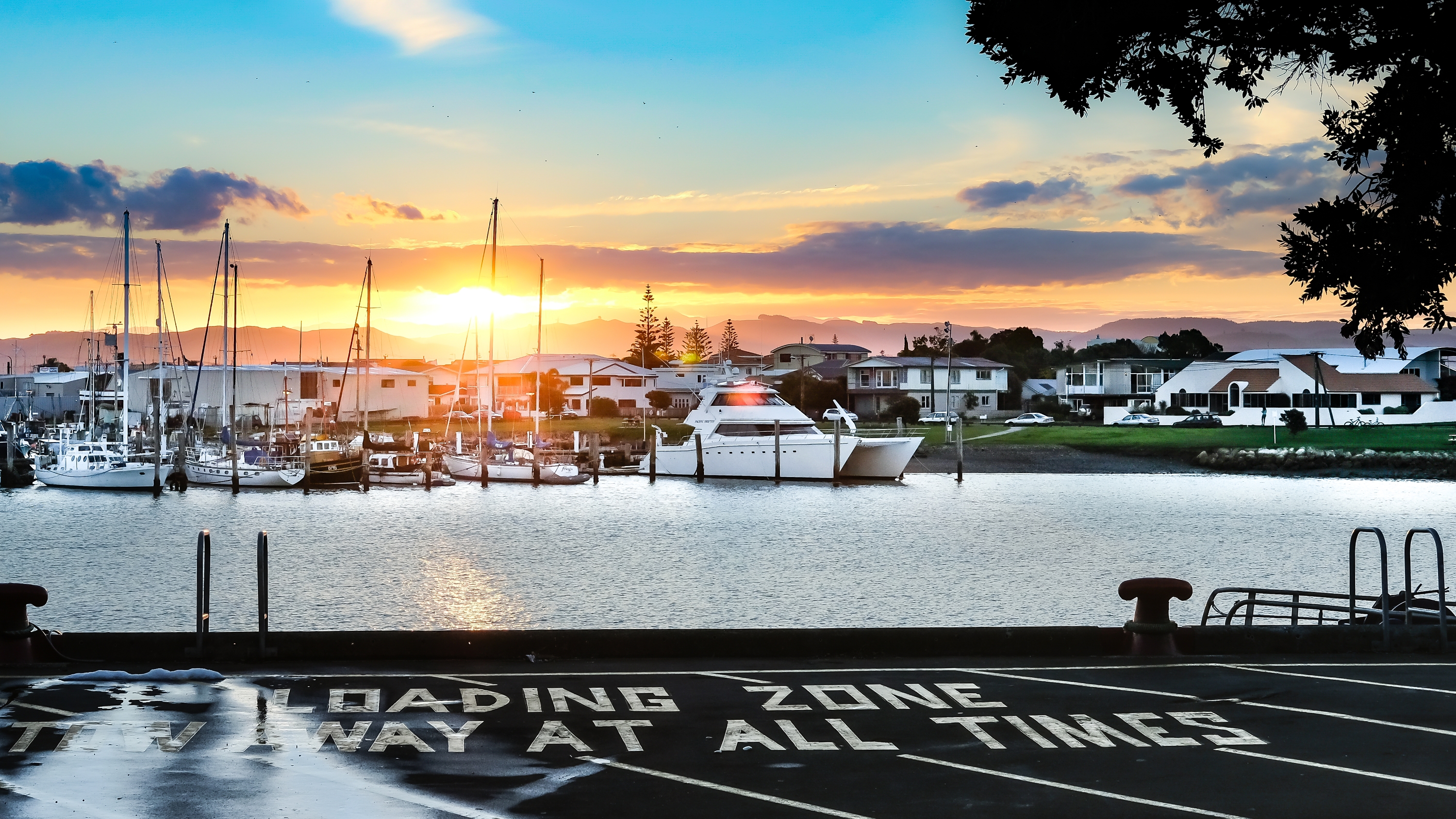 2025 Napier Travel Guide: Must-see attractions, popular food, hotels, transportation routes (updated in June)