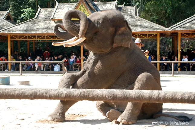 Семейные Отели в г. Цзинхун