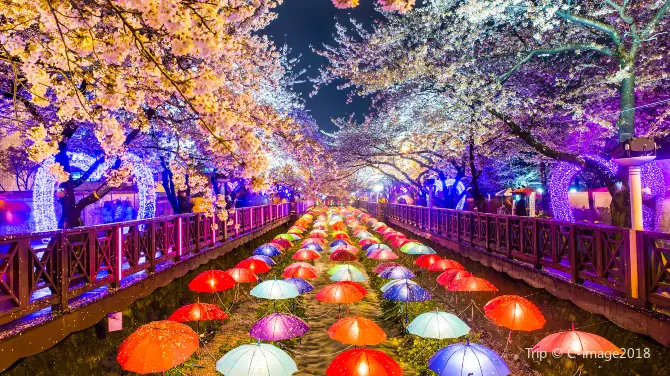 3_龍頭山公園