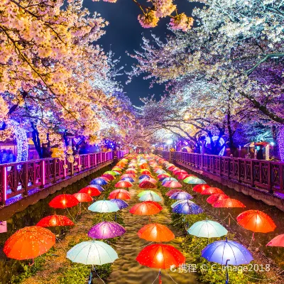 Бутик Отели в г. Пусан