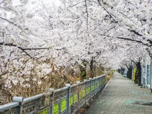 汝矣島