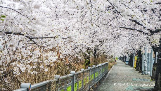 汝矣島（ヨイド）