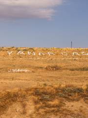 Yanardag State Historical, Cultural and Natural Reserve