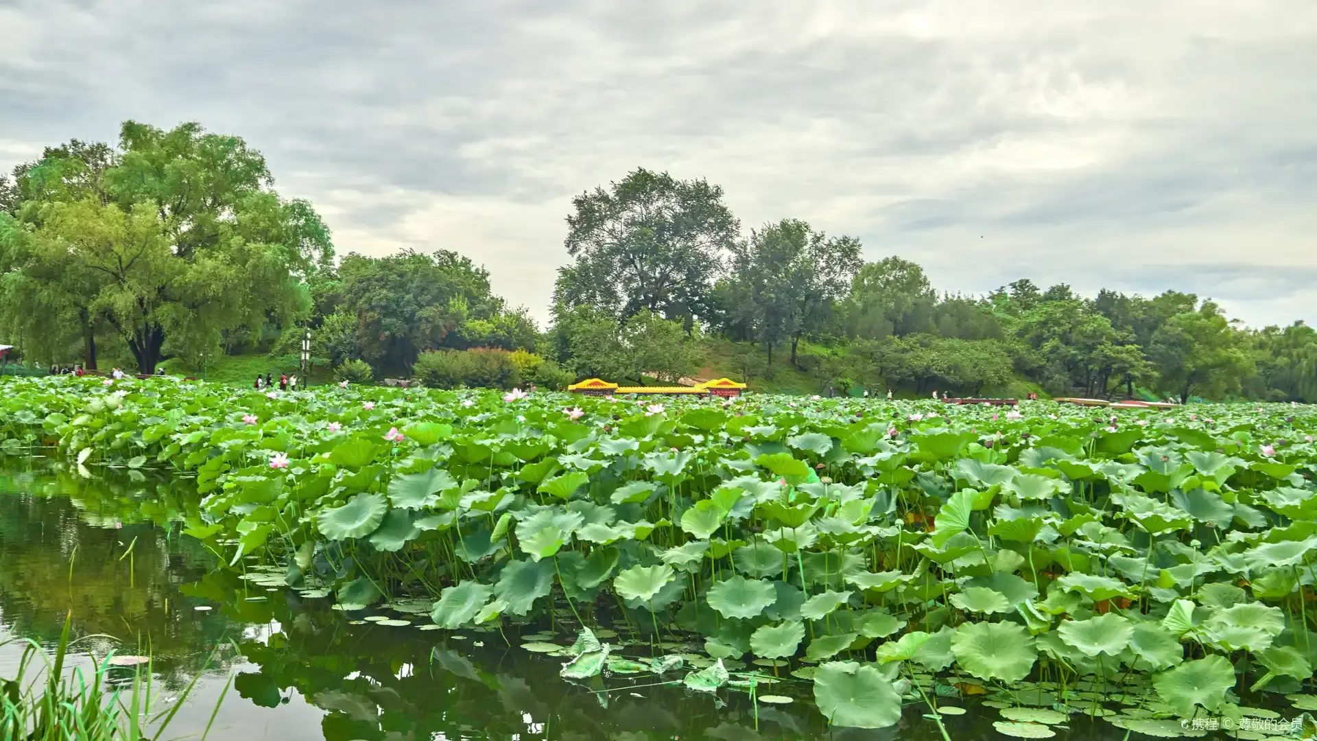 Hotels near Pengdao Yaotai Palace