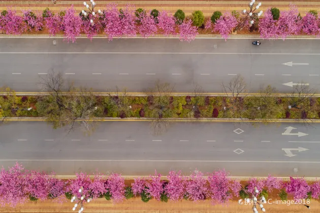 Отзывы об отеле Lijiang Zaiye Snow Mountain Starry Sky Holiday Home