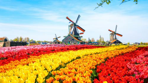 Zaanse Schans