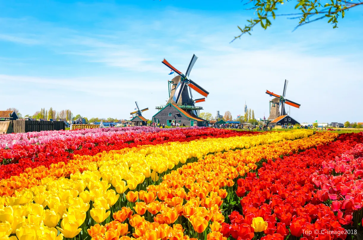 5_Zaanse Schans