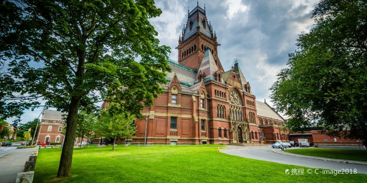Harvard University