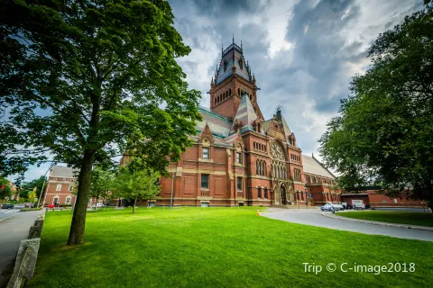 Università di Harvard
