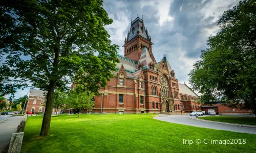 Harvard University