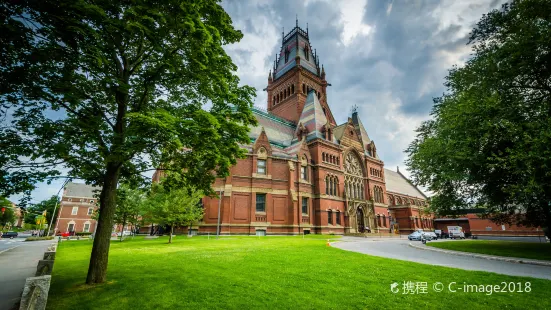 Universidad de Harvard