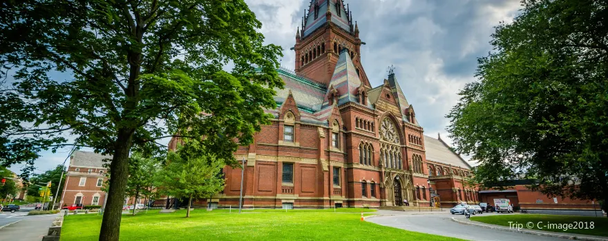 Harvard University
