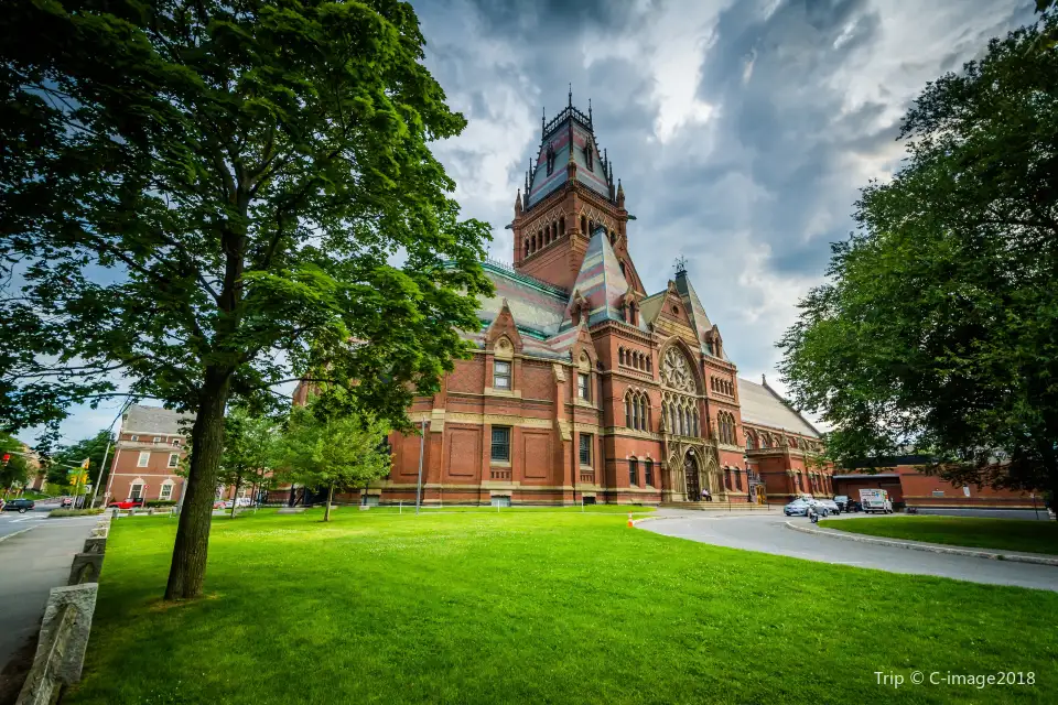 1_Università di Harvard