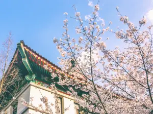 鶏鳴寺