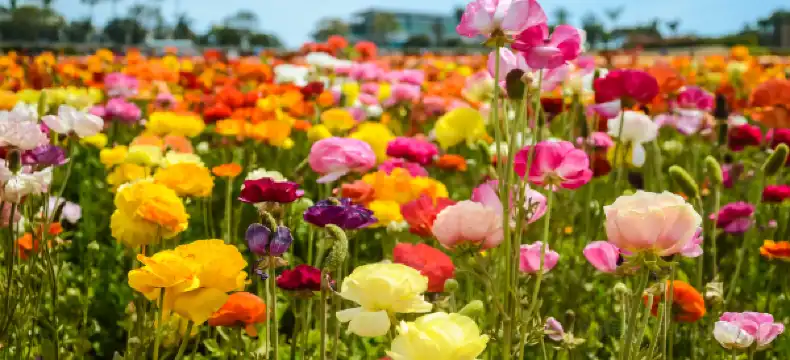 โรงแรมในคาร์ลสบัด