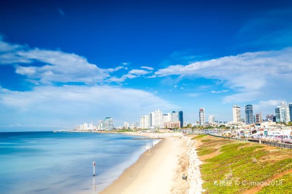 White Plains to Tel Aviv flight