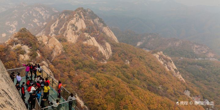 Fenghuang Mountain Glass Road