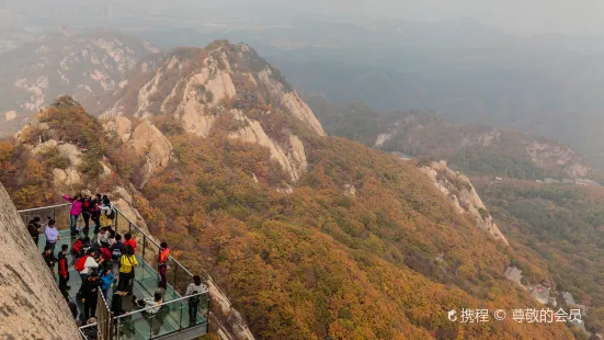 Fenghuang Mountain Glass Road