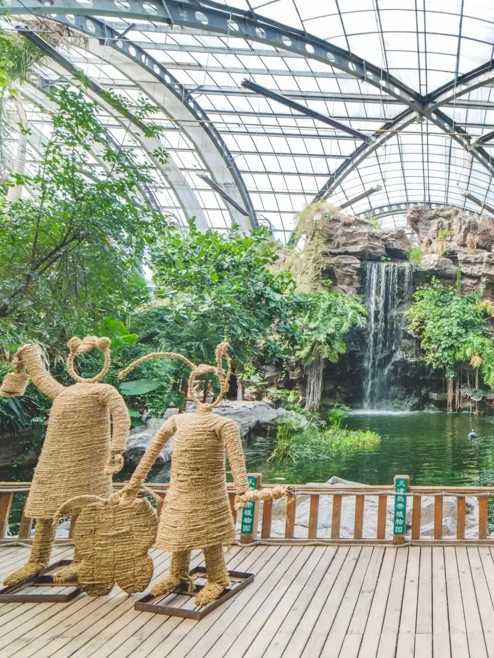 2_Tianjin Tropical Botanical Garden