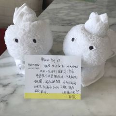 The Westin Blue Bay Resort da tang ba User Photo
