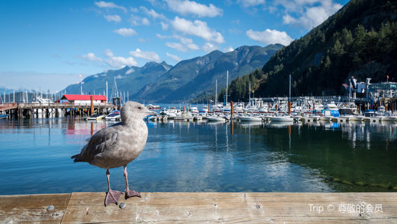 Vancouver Barat