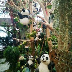 Tian Xiang Bai He Chuang Yi Restaurant User Photo