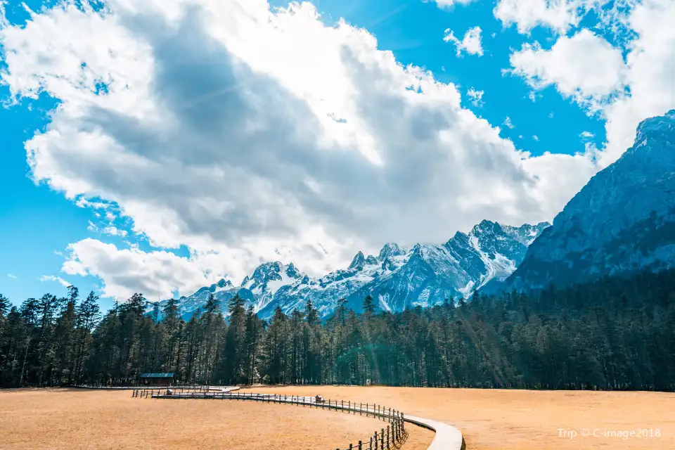 1_Spruce Meadow