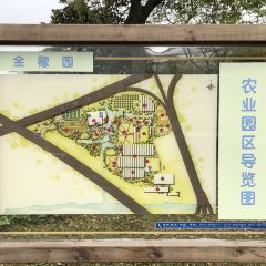 GOLD HOMELAND 여행 사진