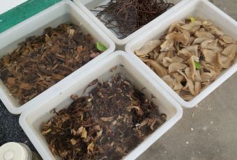 尧山第E家地锅鸡 User Photo