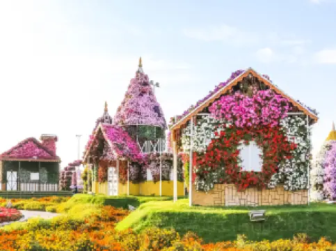 Popular Spring Outings in Dubai