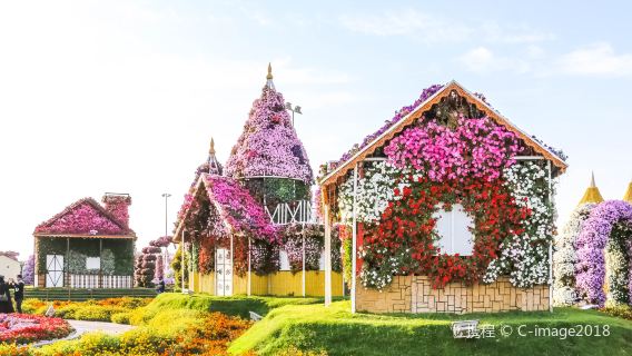 Dubai Miracle Garden + Global Village 1-day Tour (Including Transfer, Admission Ticket, Guide)