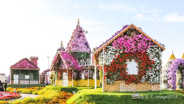 Dubai Miracle Garden