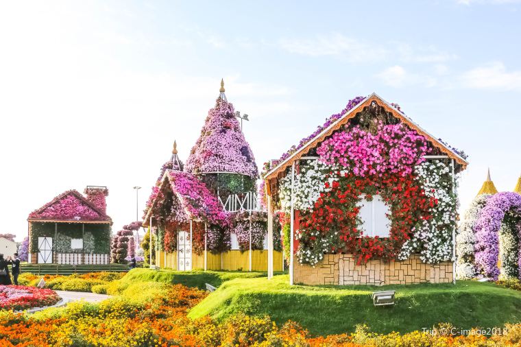 Dubai Miracle Garden