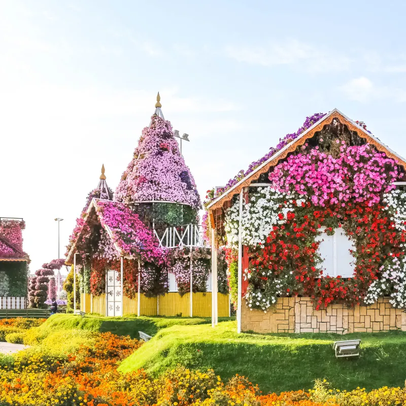 奇蹟花園