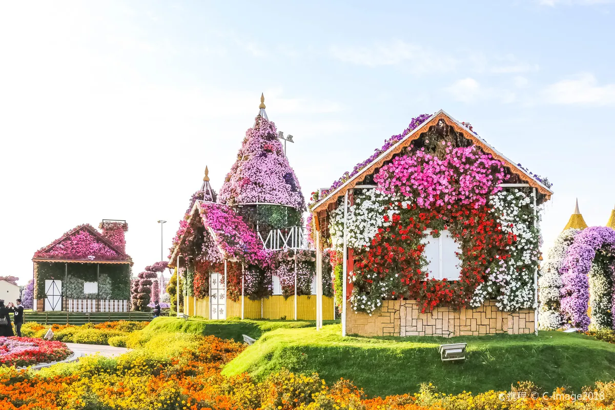 Dubai Miracle Garden