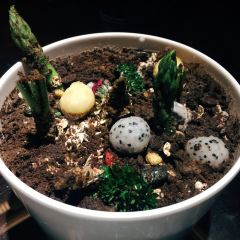 山海经·大乐之野精酿啤酒餐厅 User Photo