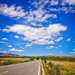 CAO YUAN TIAN LU CHENG XIN NONG GU XIAO YUAN User Photo