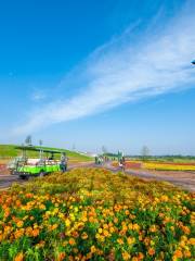 駝峰洛帶機場空中遊覽