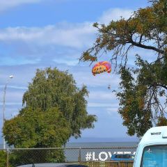 McDonald's Taupo User Photo