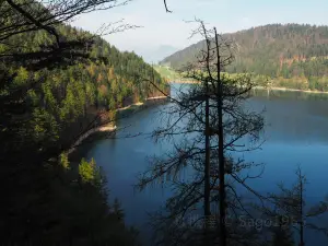 Wild Lake