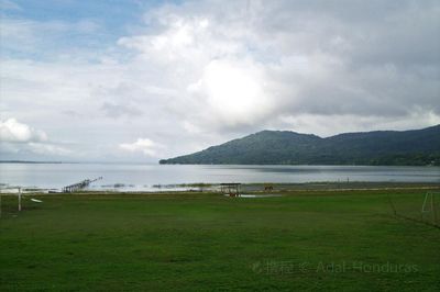 City Lake Natural Area
