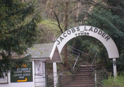 Jacob's Ladder