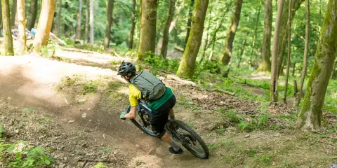 Moray Monster Trails