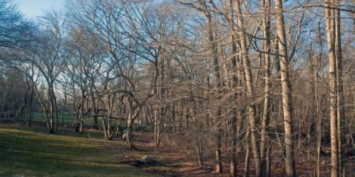 Arcadia Management Area